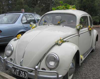 beatrice's beloved beetle