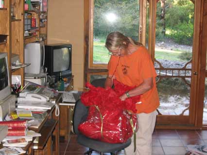 cecilia opening parcel