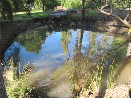 duckpond refilling