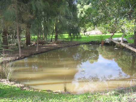 duckpond full up
